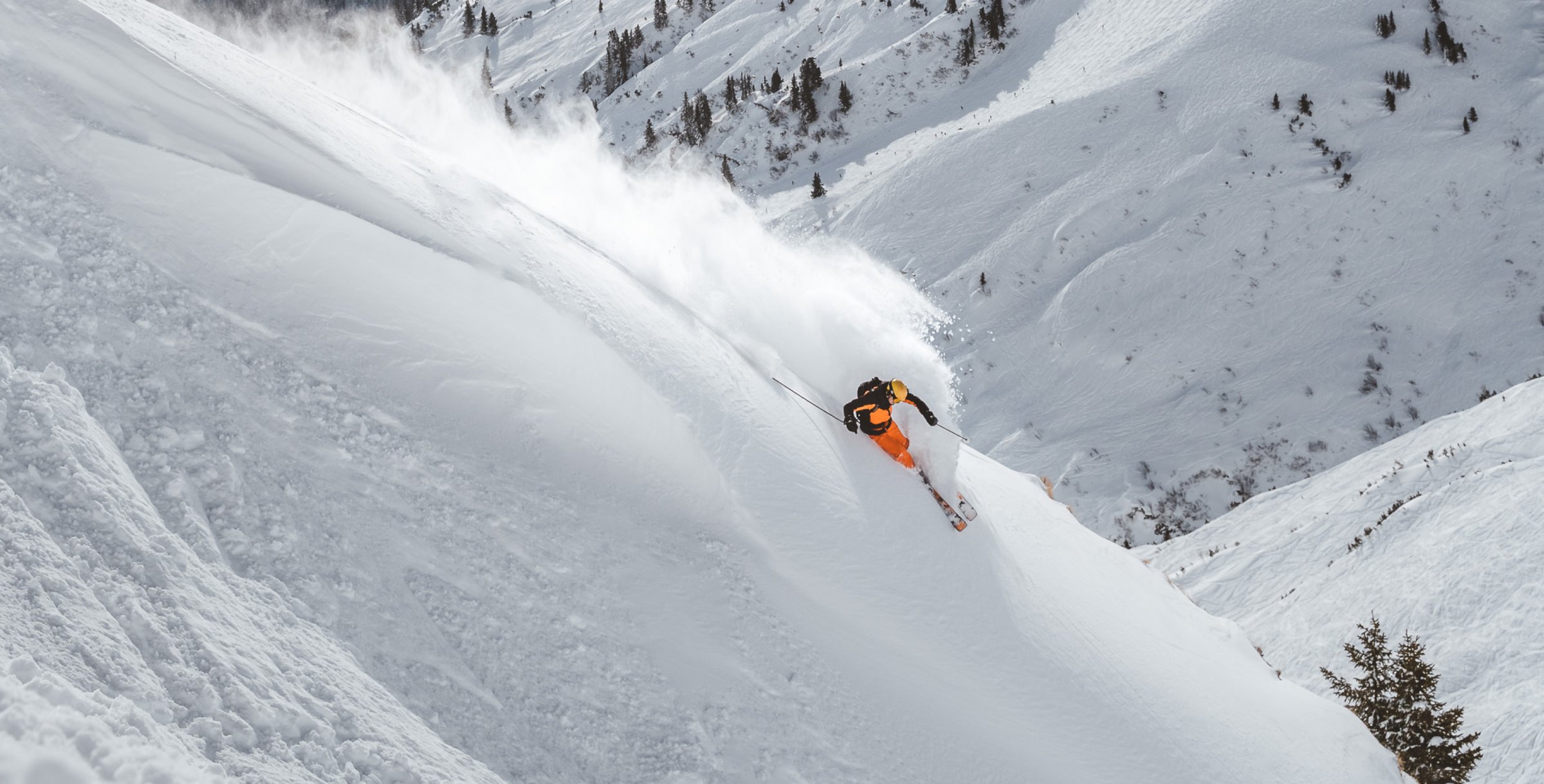 THE GREAT SKI RENTAL